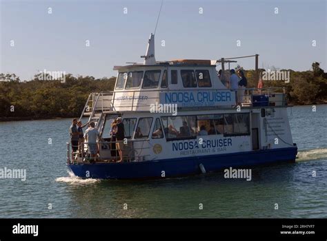 rolex noosa|noosa river queensland.